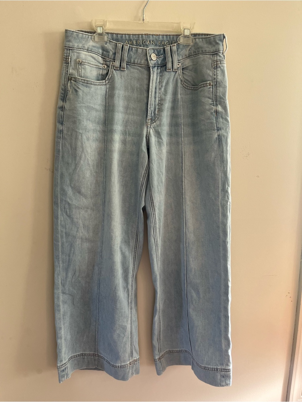 American Eagle Low Rise Baggy Wide Leg Jean
